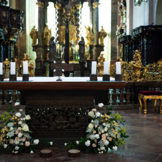 bile pozadi-9918.jpeg bile pozadi-9918.jpeg